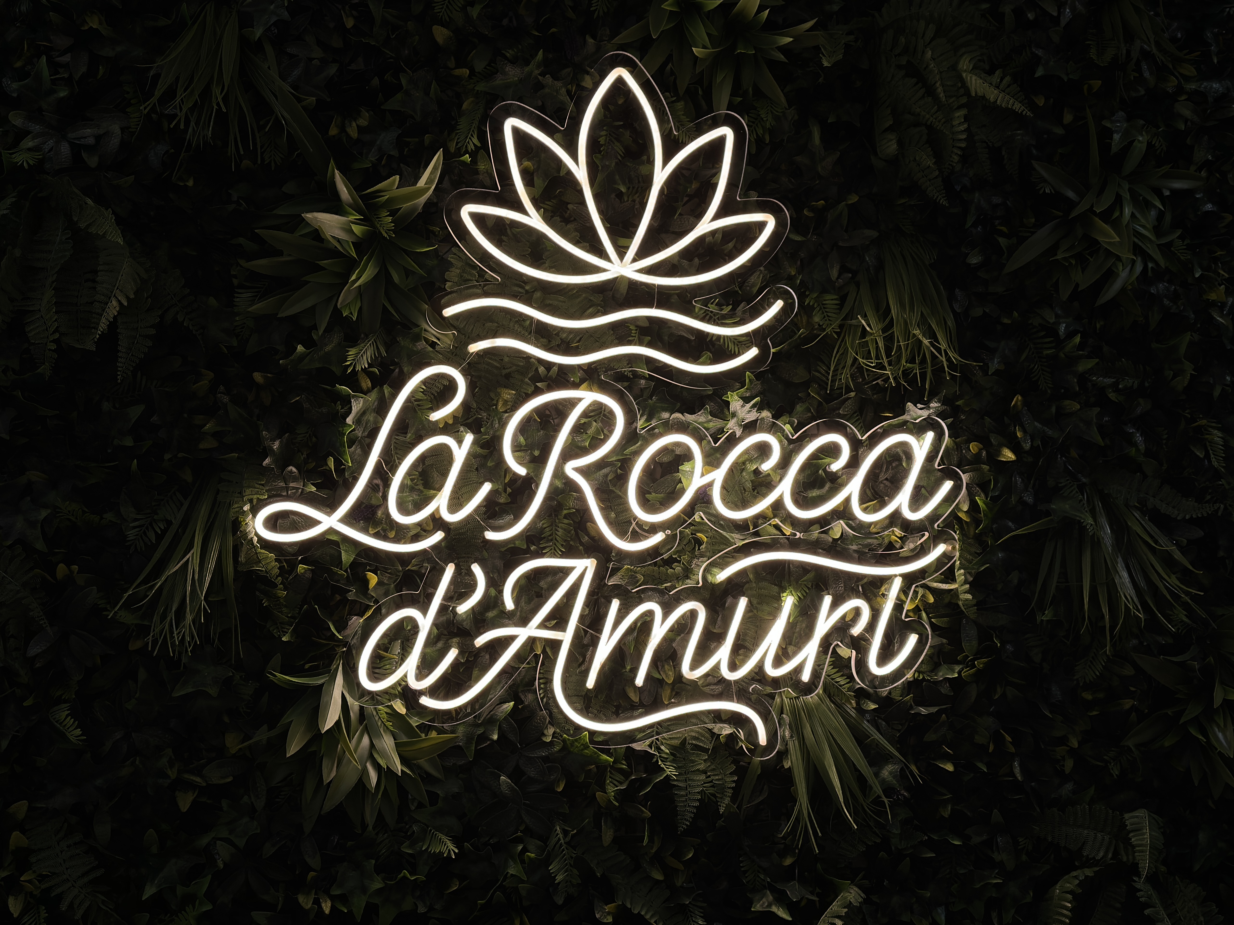 Chi Siamo